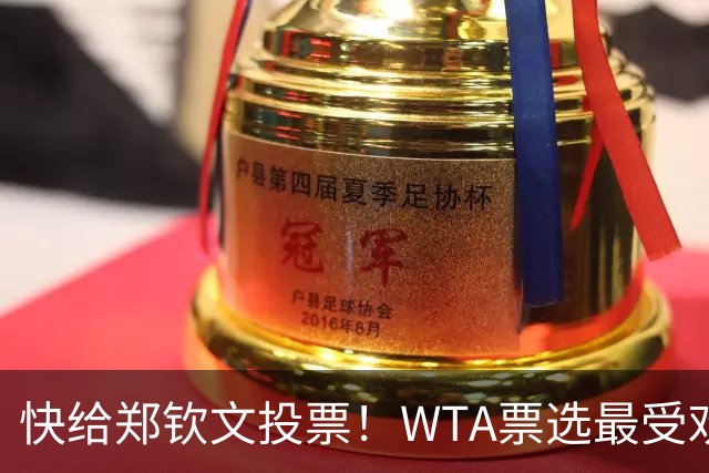 快给郑钦文投票！WTA票选最受欢迎1000赛夺冠表现，郑钦文暂列第2