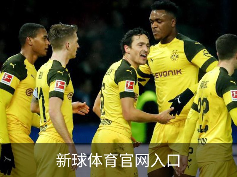 新球体育官网入口概况